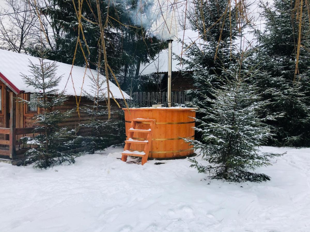 Pensiunea Ioana Borşa Exteriör bild