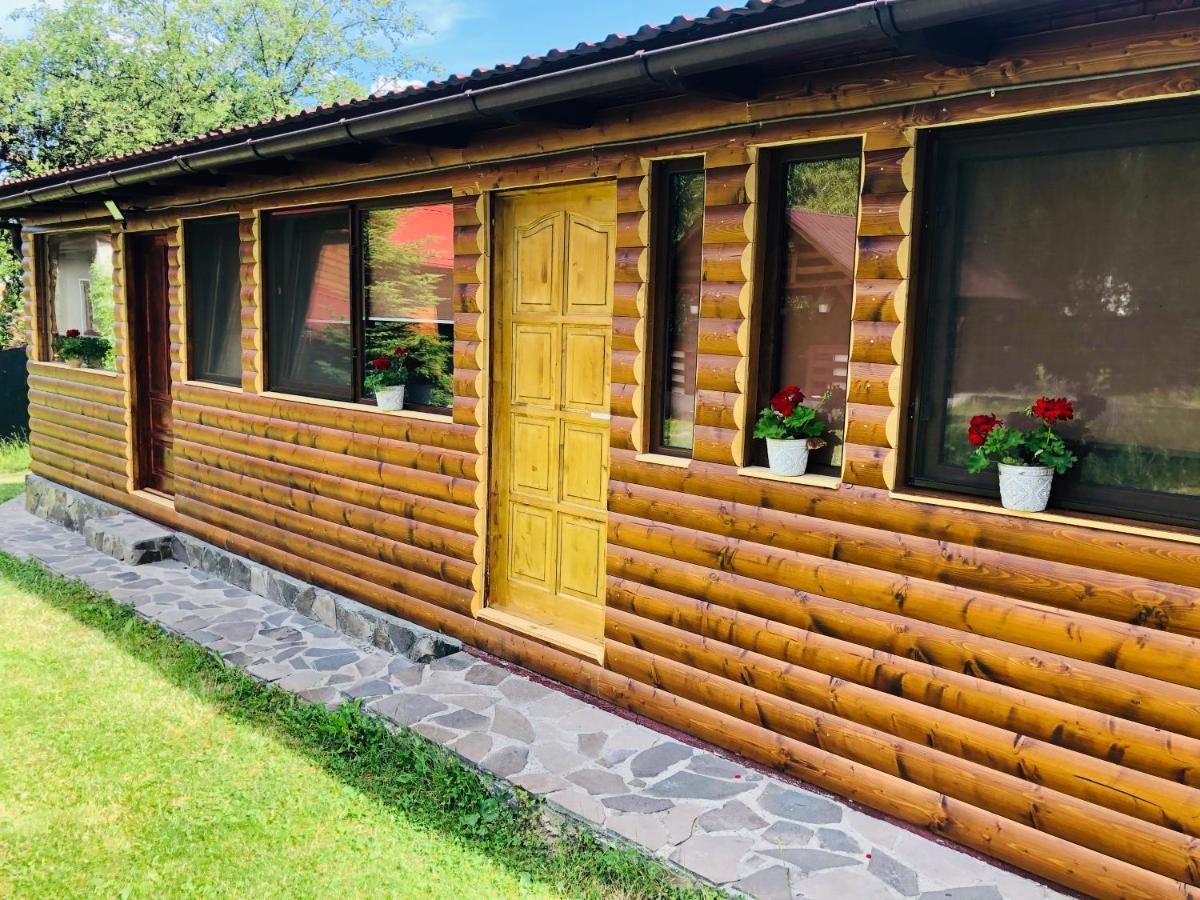 Pensiunea Ioana Borşa Exteriör bild